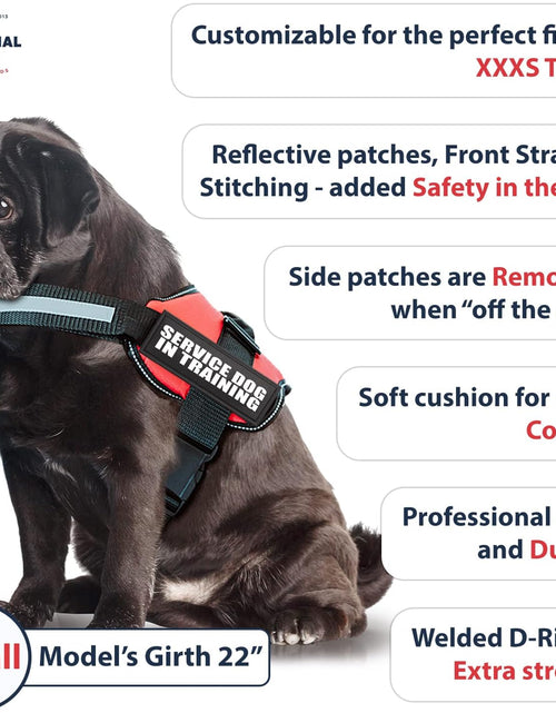 Load image into Gallery viewer, Service Dog in Training Vest with Hook and Loop Straps and Handle - Harnesses in Sizes from XXS to XXL - Service Dog Vest Harness Features Reflective Patch and Comfortable Mesh Design
